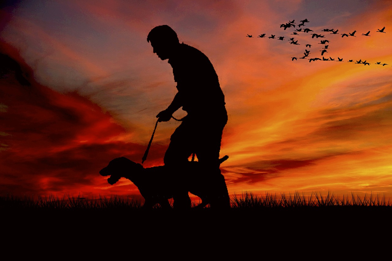 walk, man, dog-2381016.jpg