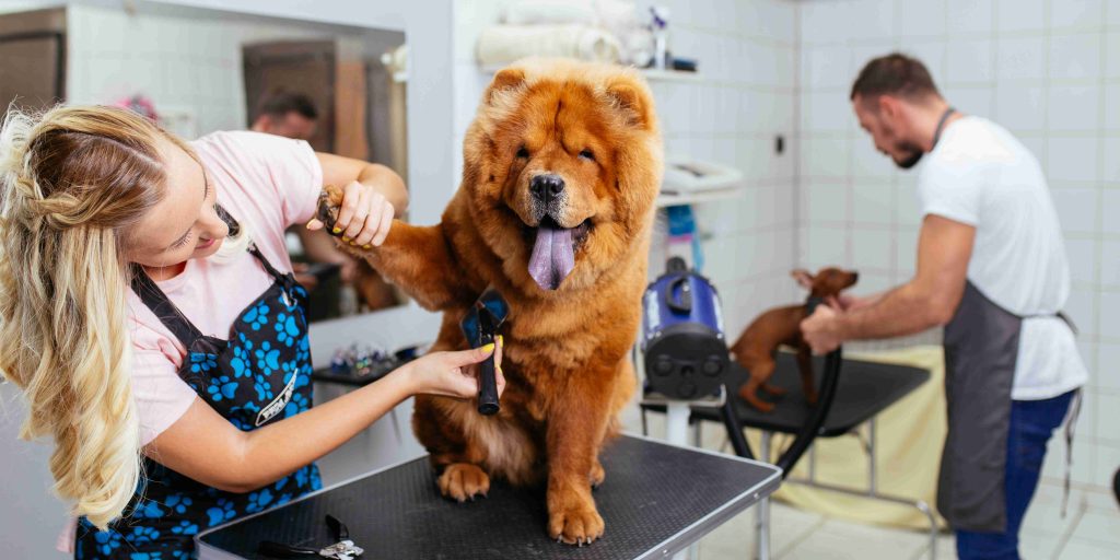 Pet Grooming services