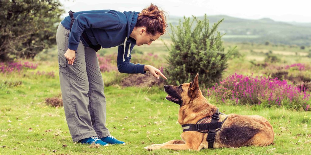 Dog trainers in Bangalore