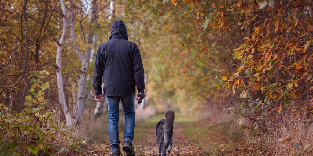 Dog walker bangalore