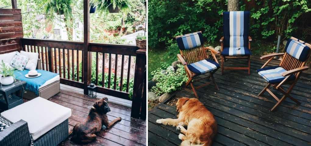 Patio ideas for dogs