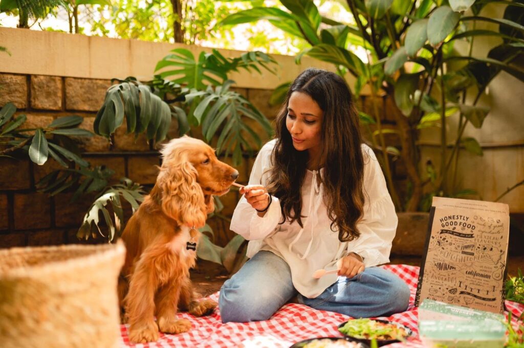 pawspace dog boarding hyderabad