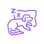 Dog sleep