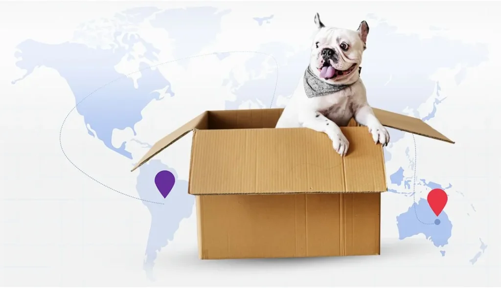 Pets Relocation Services