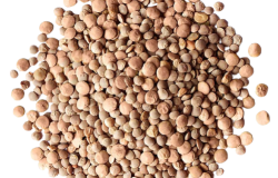 Lentils are packed with protein which will help in building strong muscles.