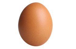 Egg is rich in protein and Egg yolk is rich in omega-3 fatty acids.