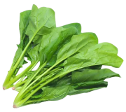 Spinach contains antioxidants like lutein, beta carotene, coumaric acid, and ferulic acid