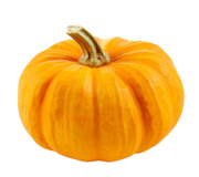 Pumpkin is rich in potassium, zinc, and vitamin A. It also contains  Vitamin B6, Vitamin C and Vitamin E