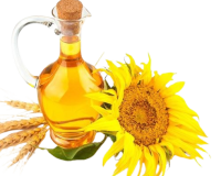 Sunflower oil contains high amounts of the essential fatty acid, linoleic acid.